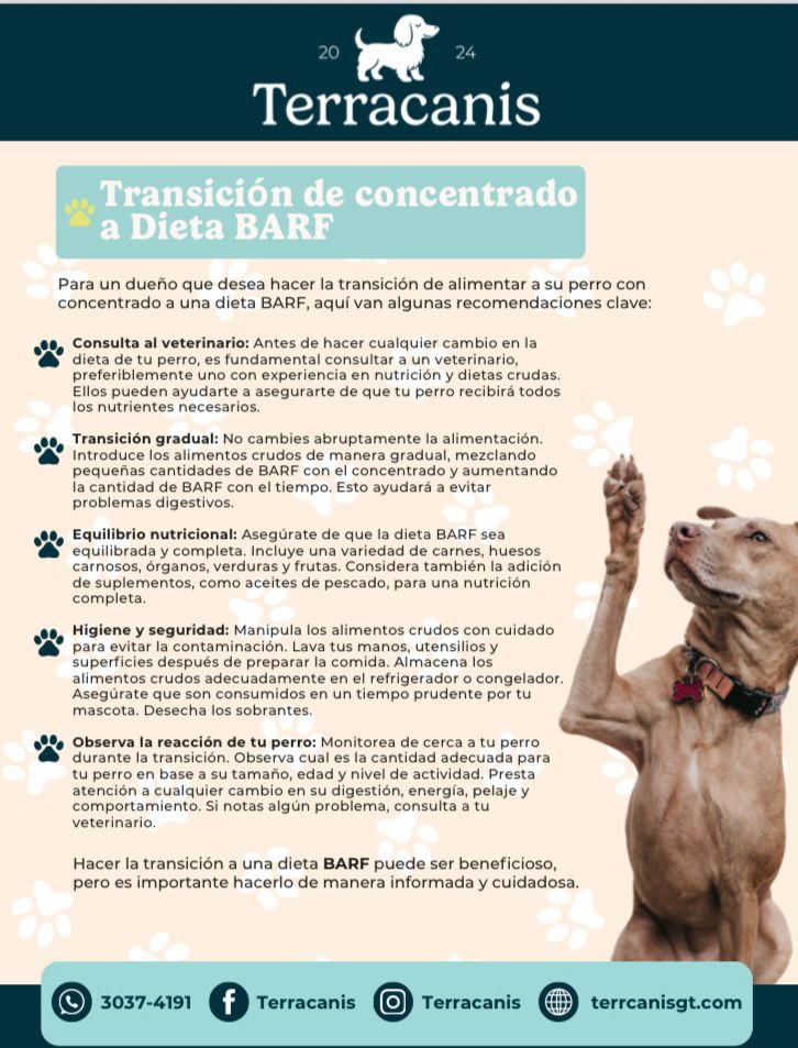 Imagen de WhatsApp 2025-09-24 a las 11.00.23_6ddf6e7b