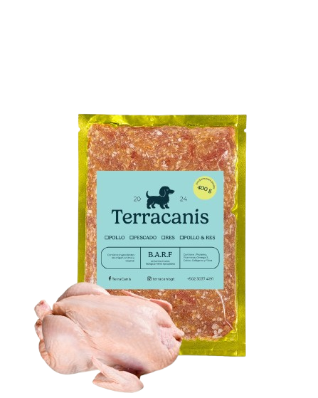 TERRACANIS POLLO