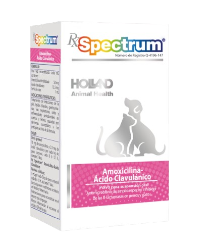 amoxicilina spectrum suspension