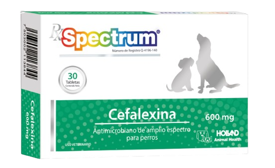 cefalexina 600mg