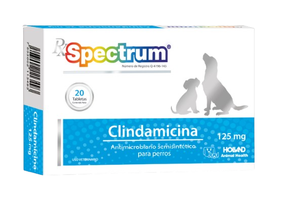 clindamicina 125mg