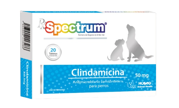 clindamicina 50 mg