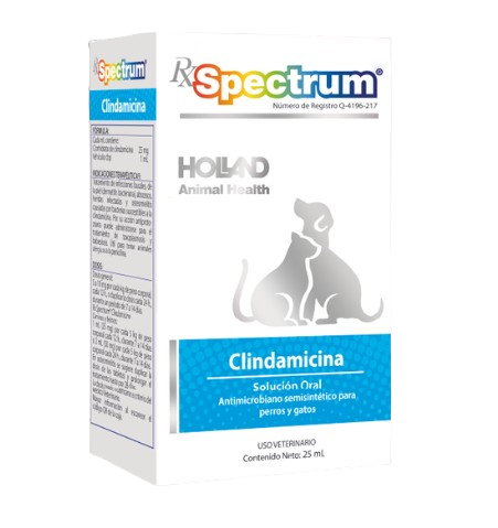 clindamicina solucion oral