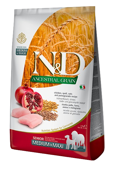 nd senior