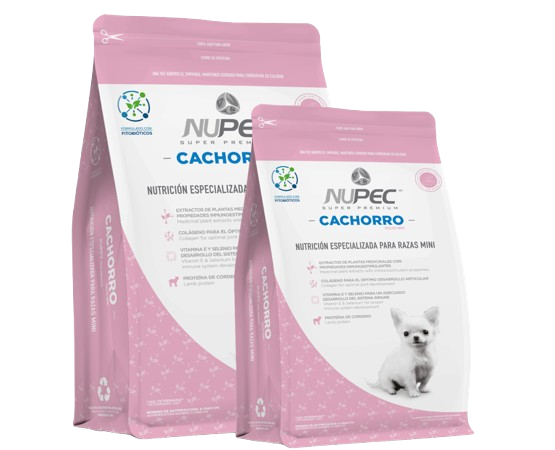 nupec cachorro mini