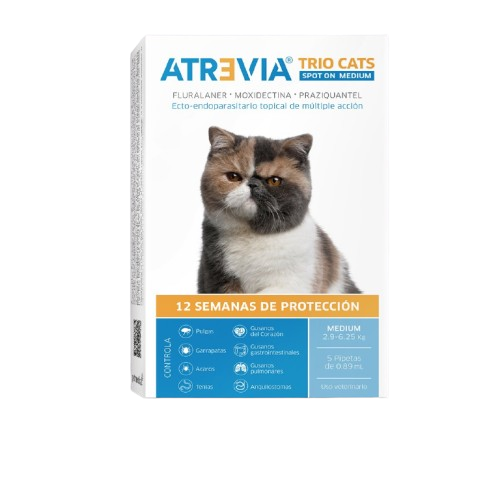 atrevia trio gatos