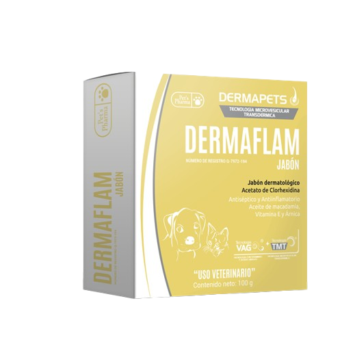 dermaflan jabon