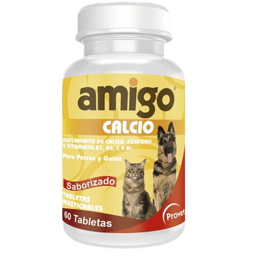 AMIGO CALCIO
