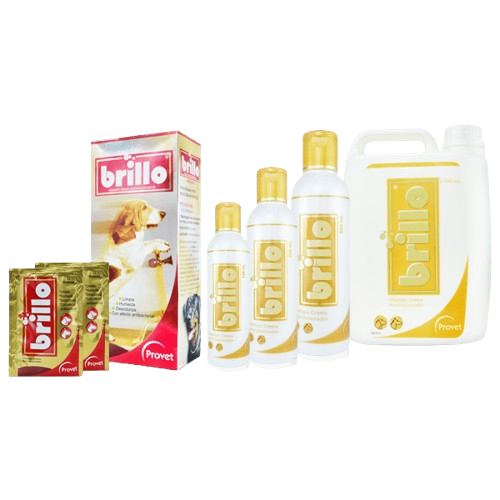 BRILLO SHAMPOO