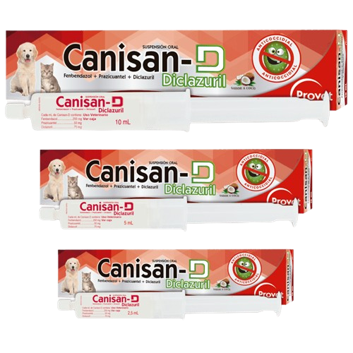 canisann dd